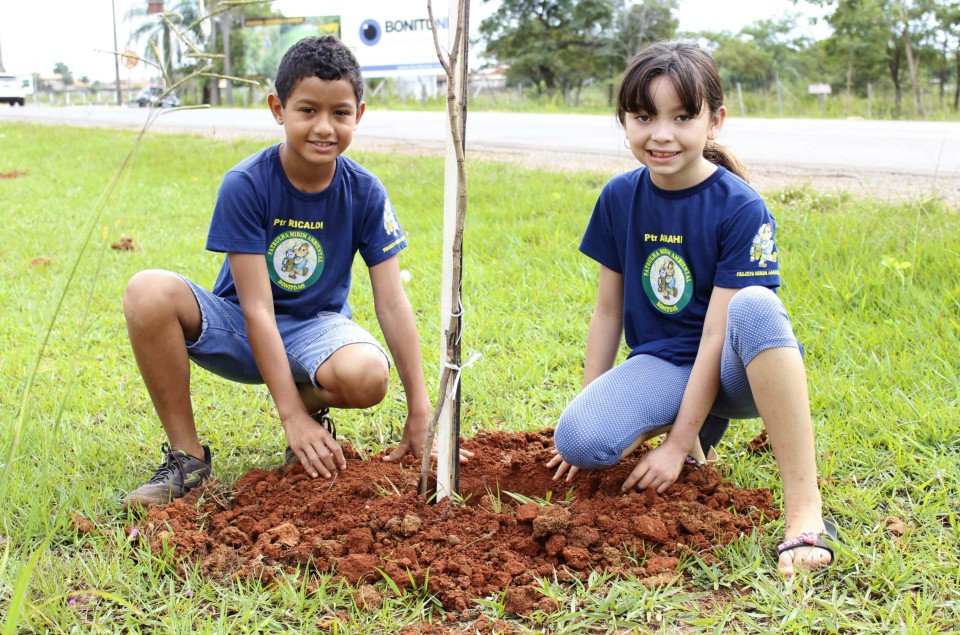 Secretaria de Meio Ambiente realiza o plantio de 84 mudas de árvores em rodovia de Bonito
