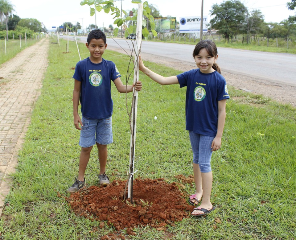 Secretaria de Meio Ambiente realiza o plantio de 84 mudas de árvores em rodovia de Bonito