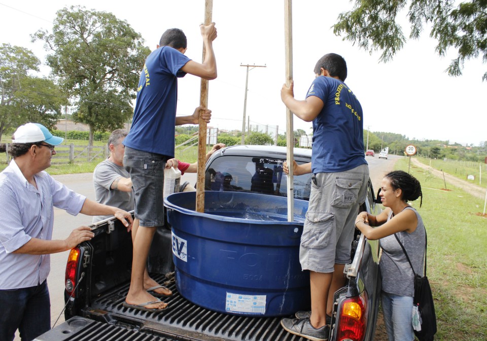 Secretaria de Meio Ambiente realiza o plantio de 84 mudas de árvores em rodovia de Bonito