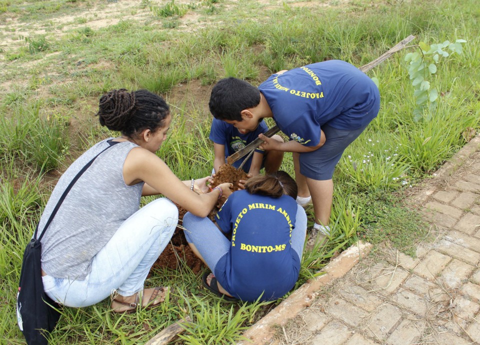 Secretaria de Meio Ambiente realiza o plantio de 84 mudas de árvores em rodovia de Bonito