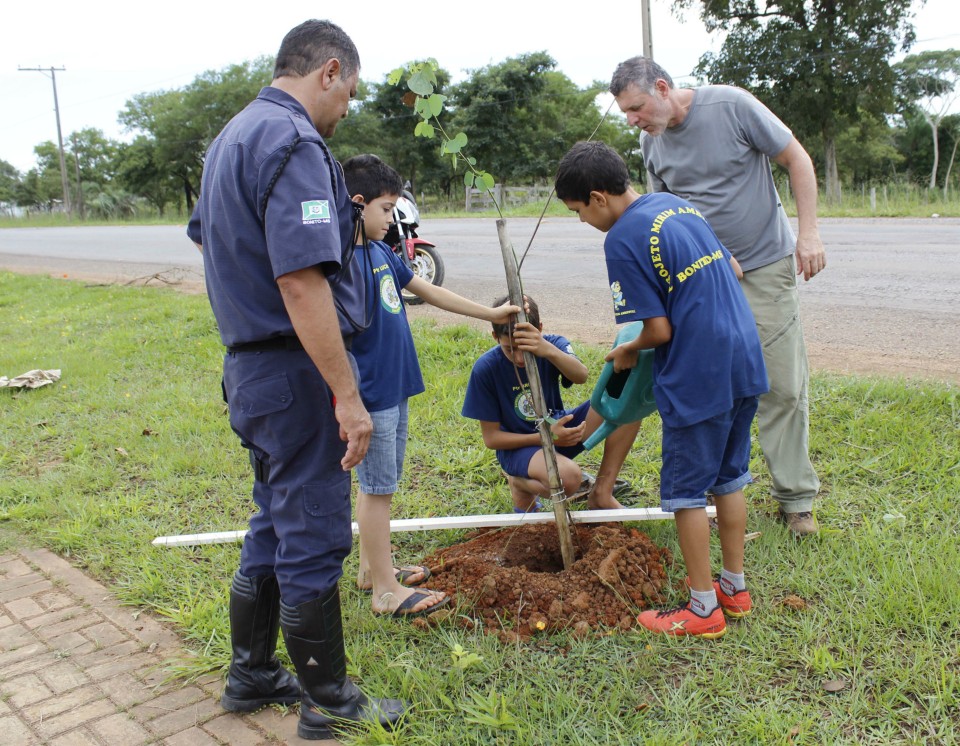 Secretaria de Meio Ambiente realiza o plantio de 84 mudas de árvores em rodovia de Bonito