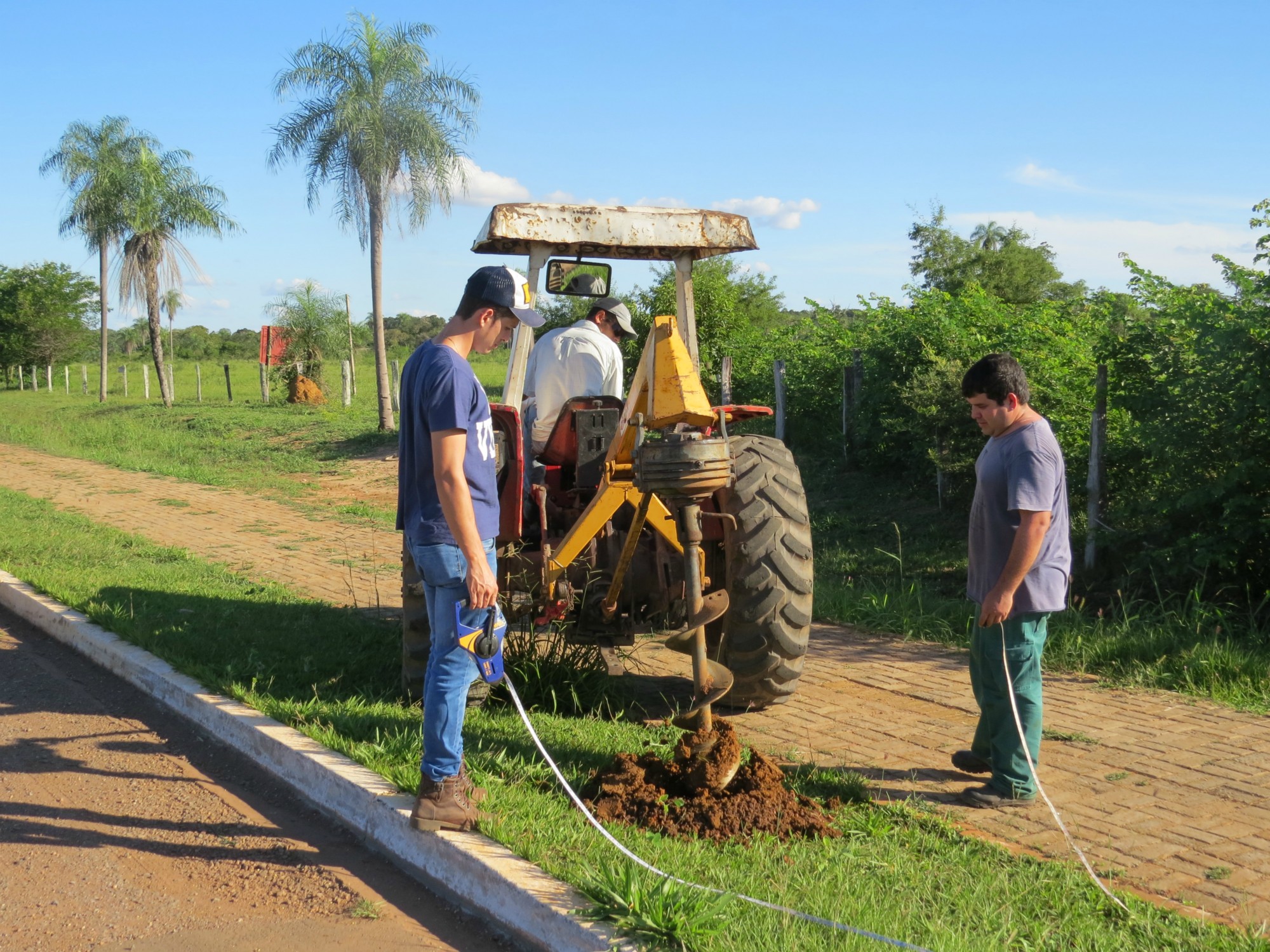 Vandalismo prejudica arborização urbana no município de Bonito