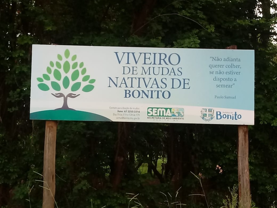 SEMA distribui frutas produzidas no Viveiro de Mudas Nativas de Bonito