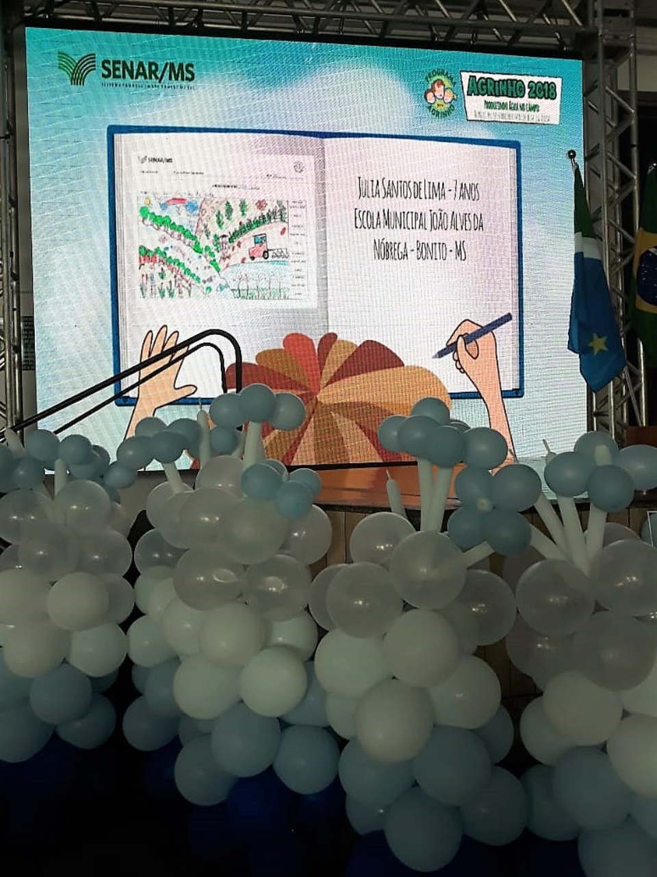 Bonito conquista duas premiações no Concurso Agrinho 2018