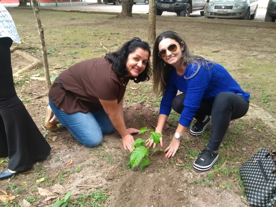 Balneário Municipal recebe plantio de 43 árvores nativas