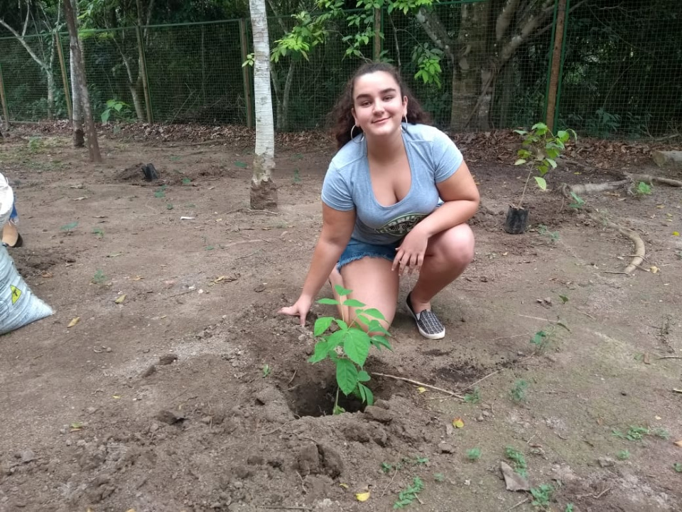Balneário Municipal recebe plantio de 43 árvores nativas
