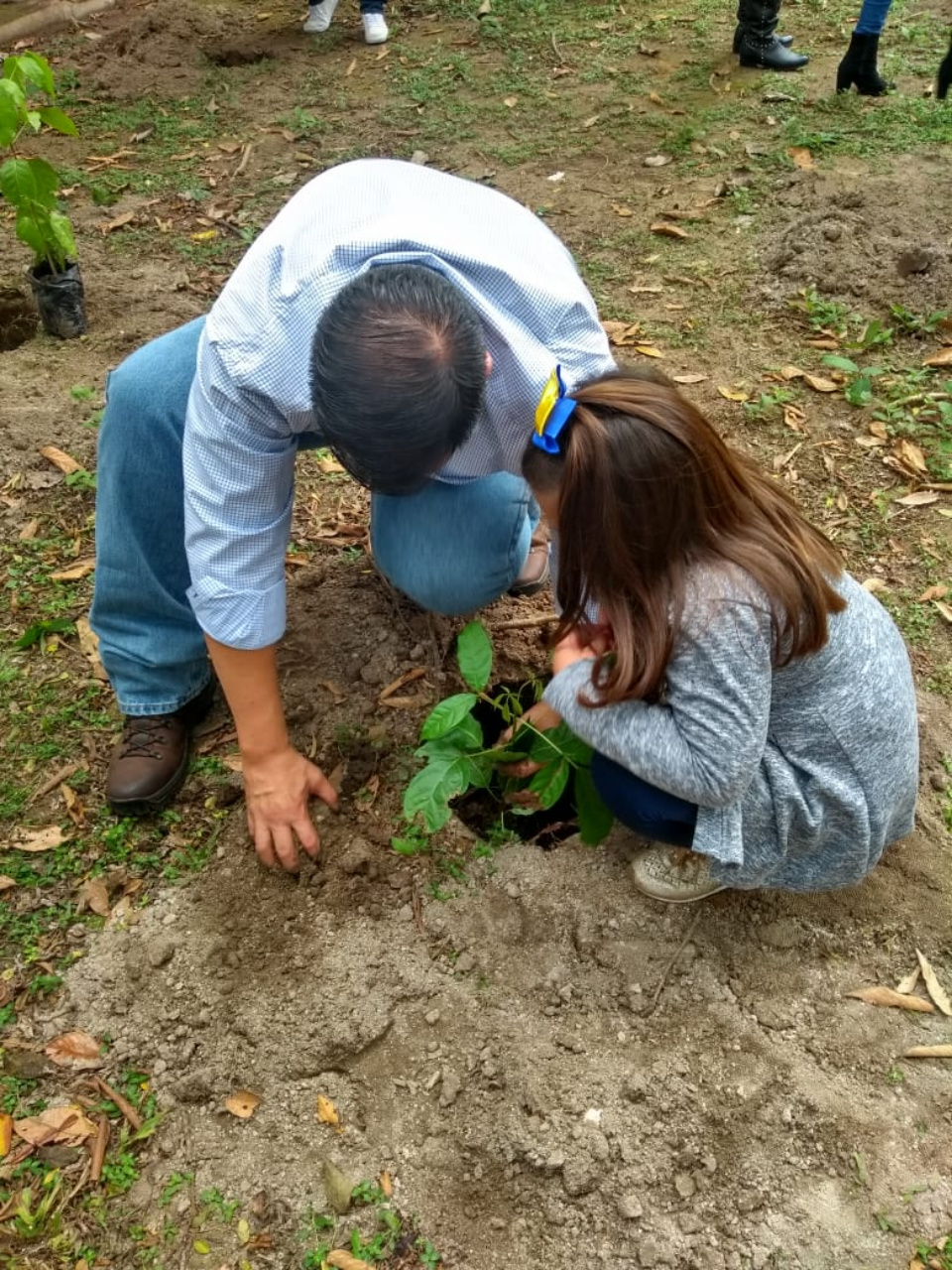 Balneário Municipal recebe plantio de 43 árvores nativas