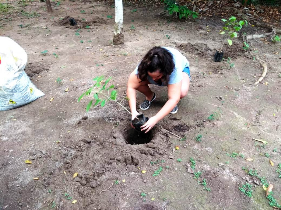 Balneário Municipal recebe plantio de 43 árvores nativas
