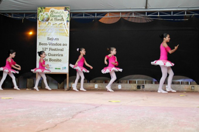 Fotos Festival da Guavira - Núcleo Cultural Dançar Bonito