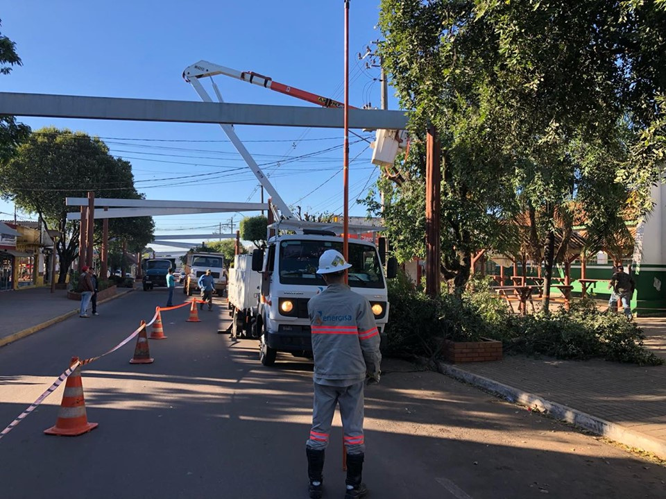 Meio Ambiente e Energisa realizam poda radical das árvores