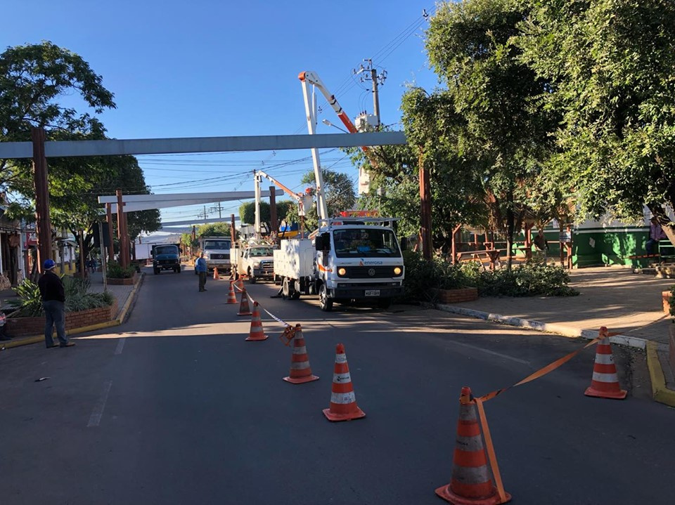 Meio Ambiente e Energisa realizam poda radical das árvores