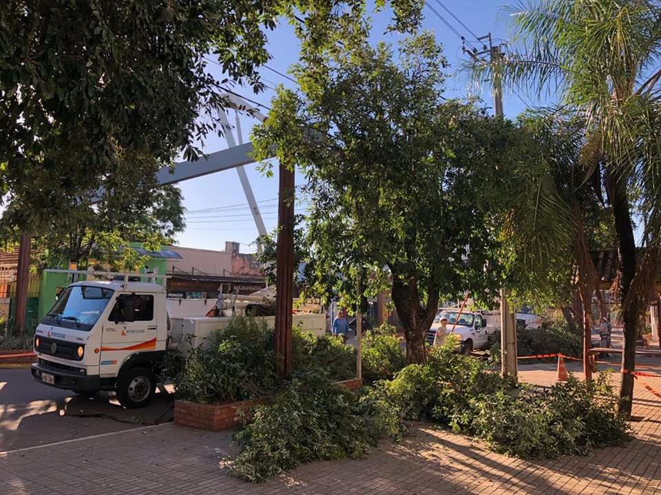 Meio Ambiente e Energisa realizam poda radical das árvores
