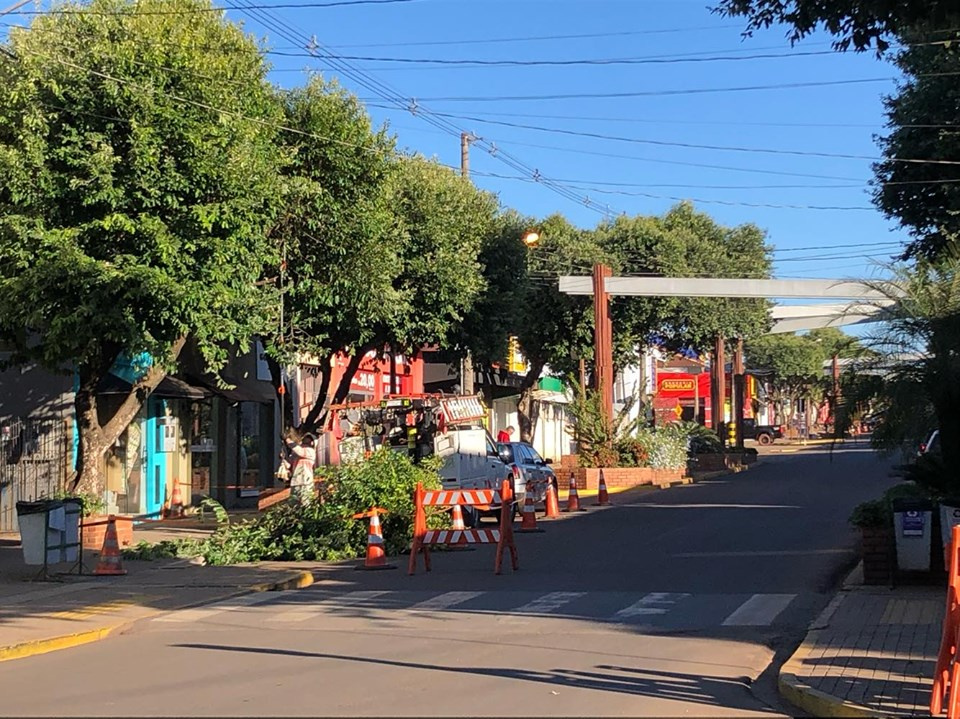 Meio Ambiente e Energisa realizam poda radical das árvores