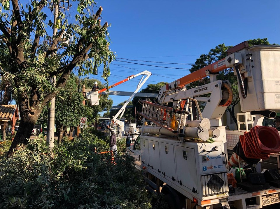 Meio Ambiente e Energisa realizam poda radical das árvores