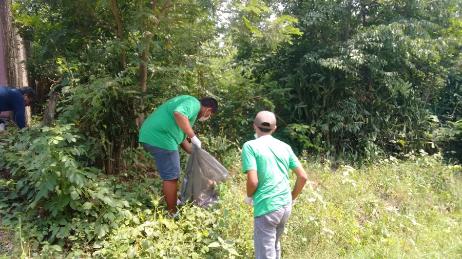 Alunos participam de mutirão de limpeza e orientações para combater o mosquito da dengue em Bonito