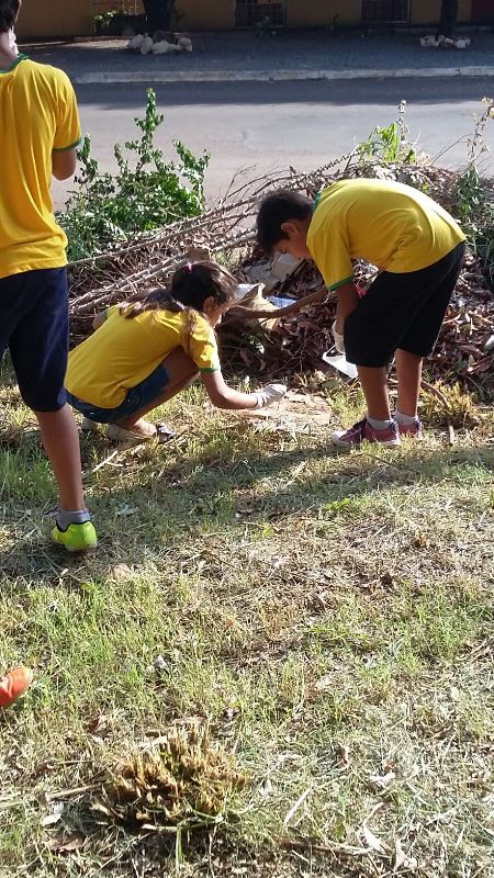 Alunos participam de mutirão de limpeza e orientações para combater o mosquito da dengue em Bonito
