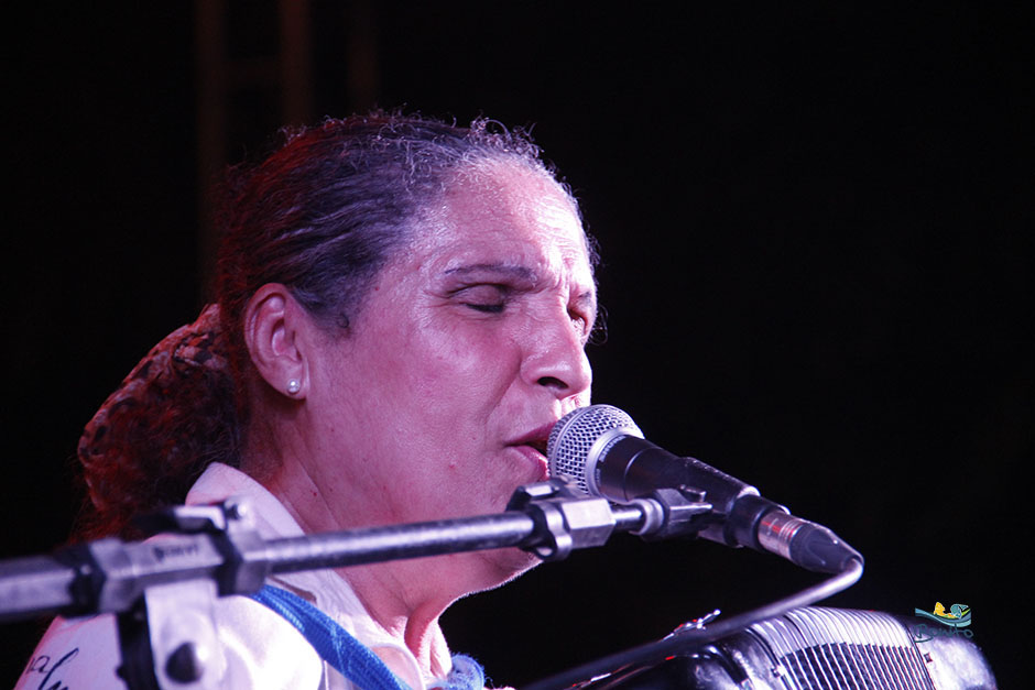 Abertura do 14º Festival da Guavira contou com muita música, feira gastronômica e exposições.
