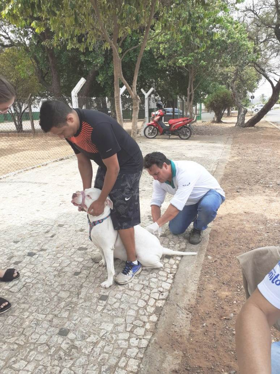 Dia D da vacinação antirrábica aplicou 2.557 vacinas