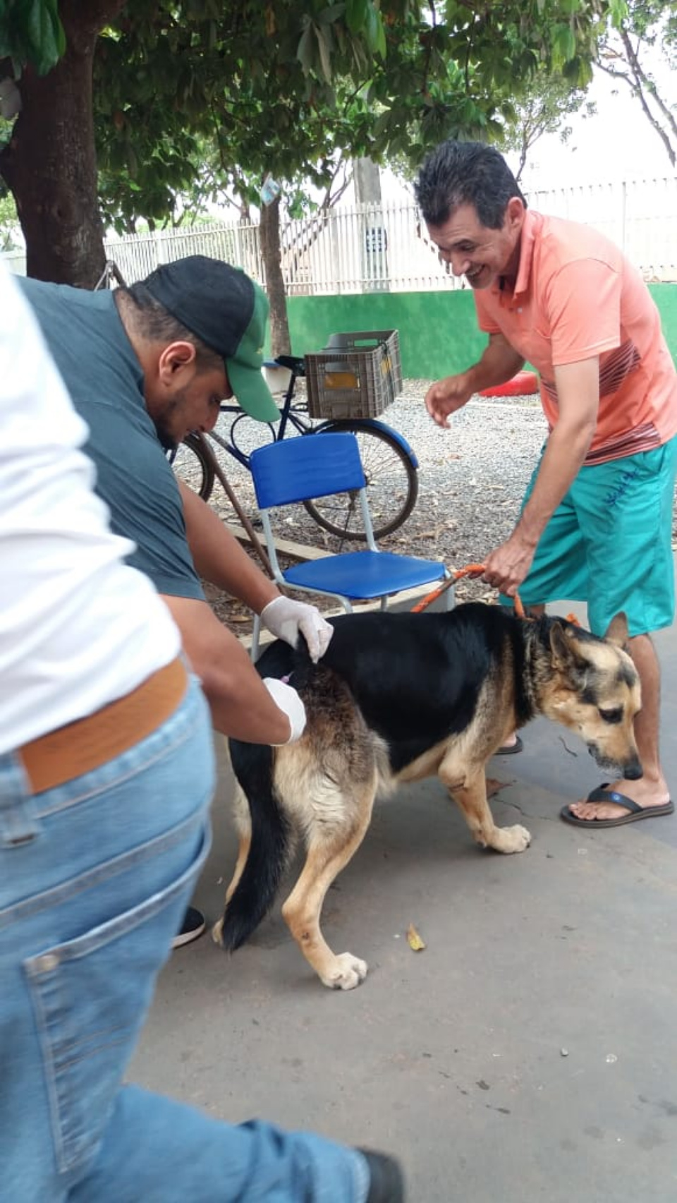 Dia D da vacinação antirrábica aplicou 2.557 vacinas