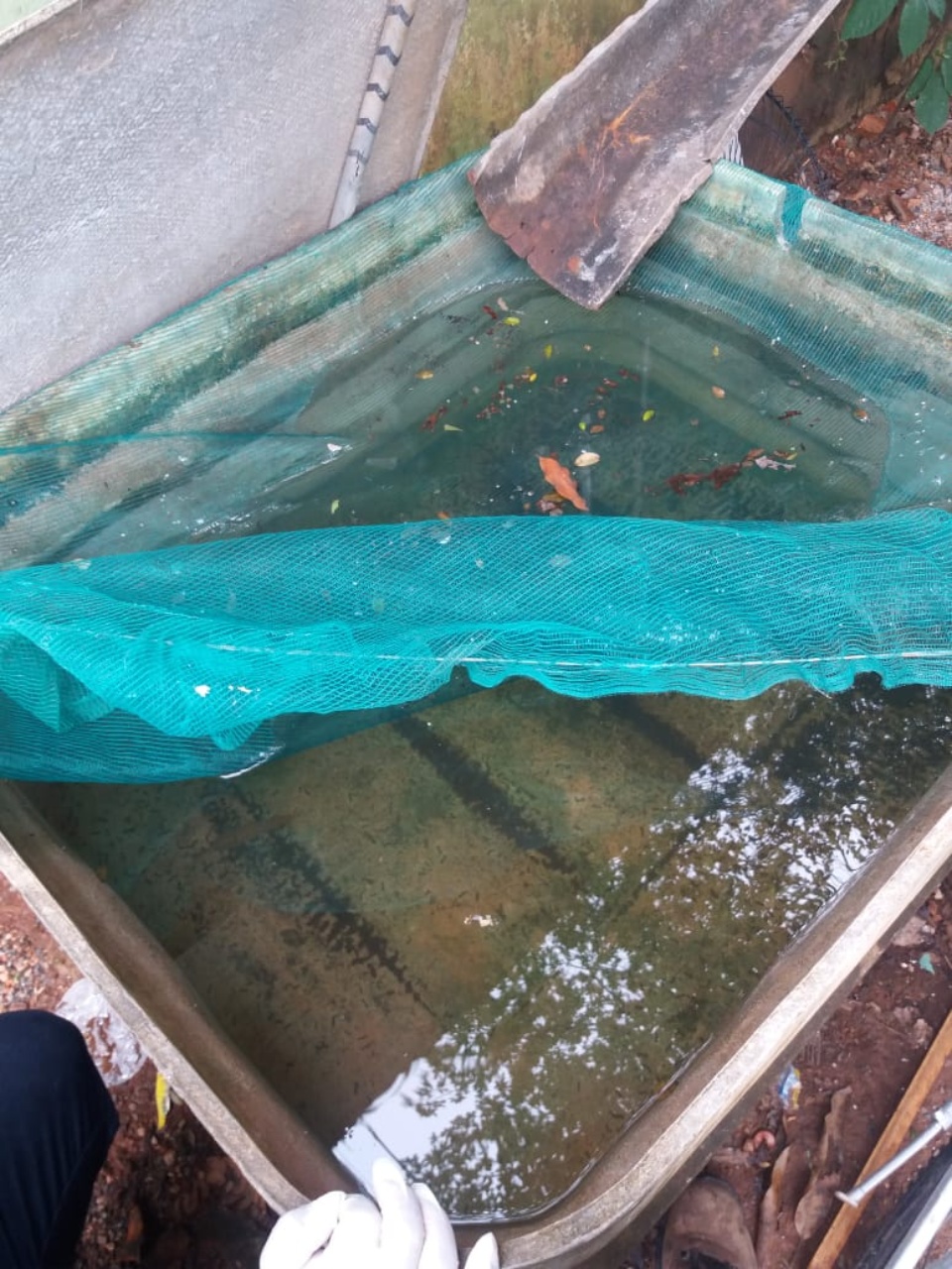 Saúde mobiliza força-tarefa contra a dengue na Vila Donária