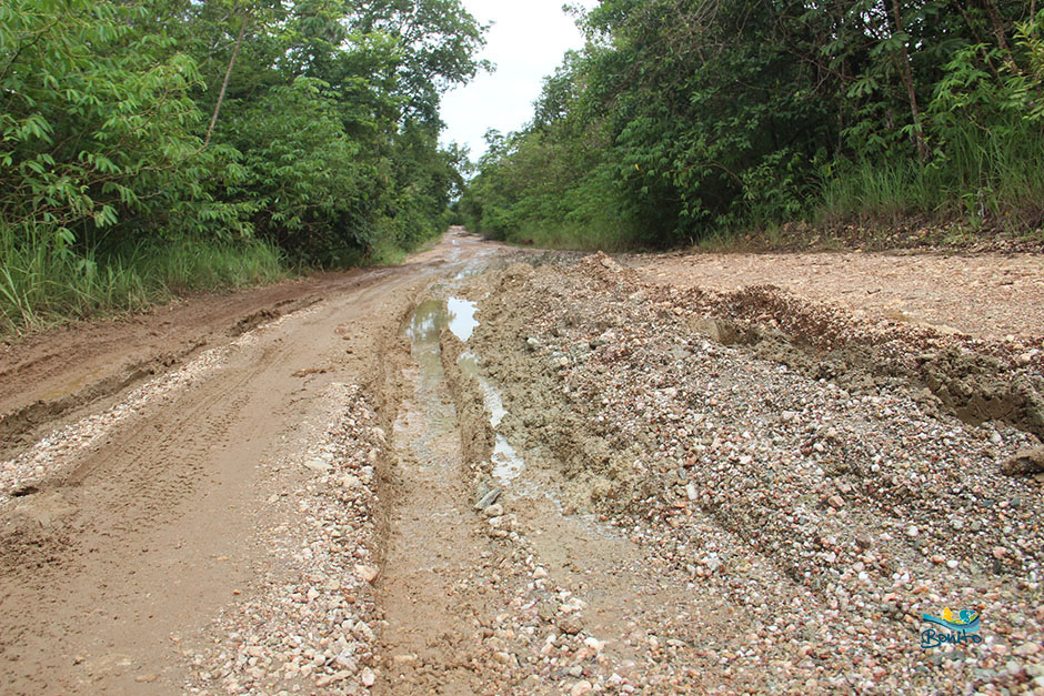 Prefeito pede ajuda imediata ao Governo do Estado para reparo das estradas destruídas pela chuva
