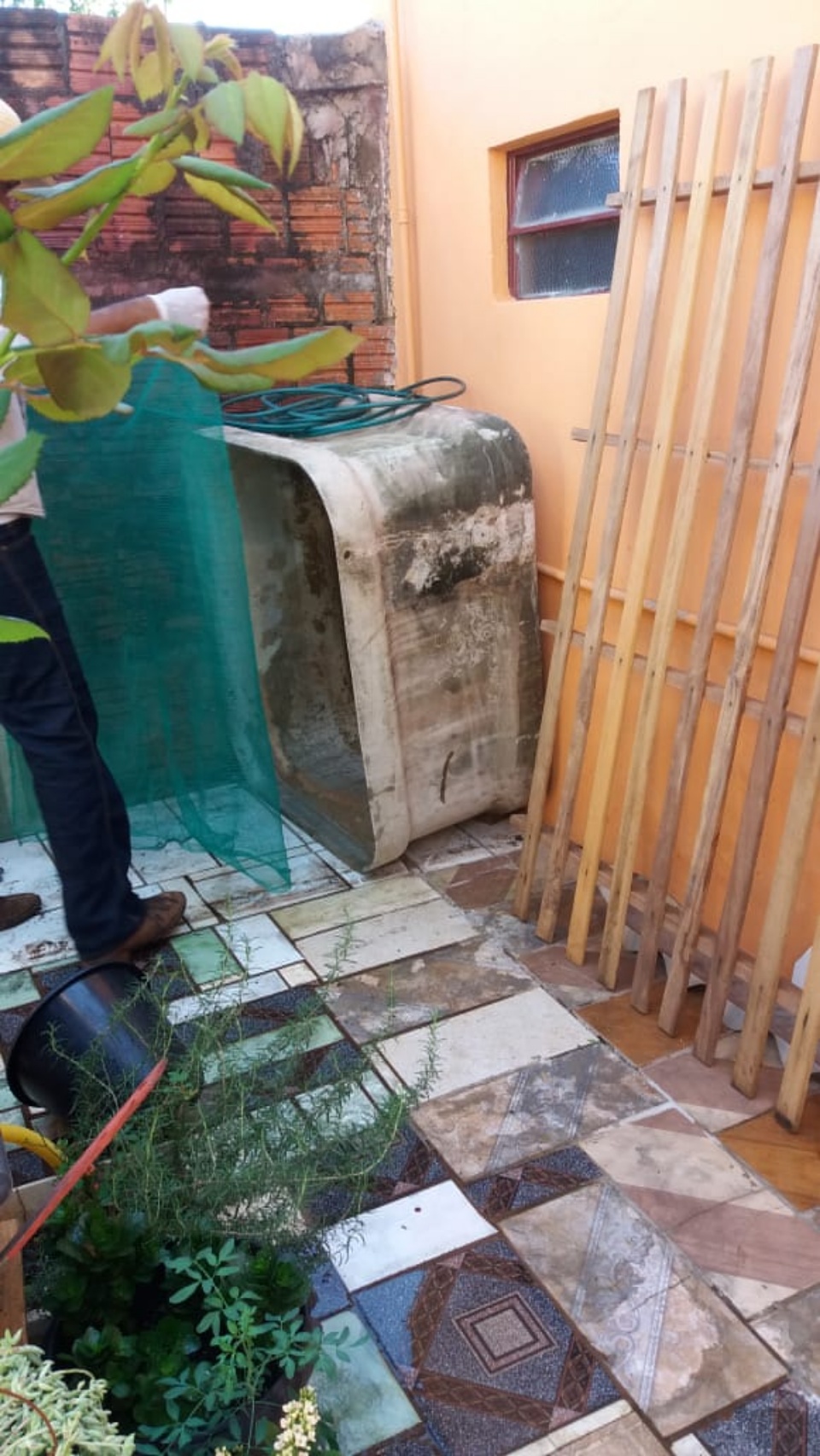Ação efetiva do setor de endemias diminui índices de dengue em Bonito