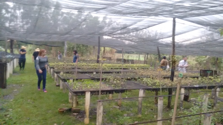 Acadêmicos da UEMS de Ivinhema visitam aterro controlado e viveiro municipal de Bonito