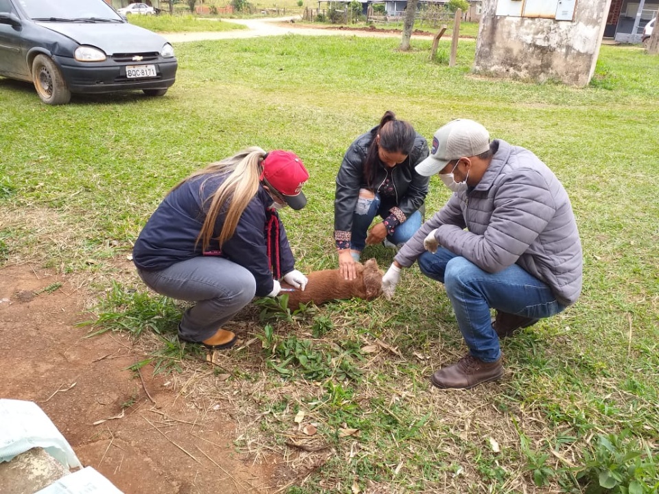 Saúde realiza ações de prevenção no Assentamento Guaicurus e Pesqueiro do Noé Saúde realiza ações de prevenção no Assentamento Guaicurus e Pesqueiro do Noé