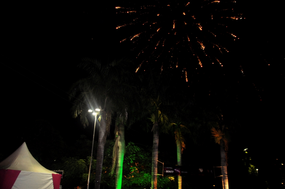 1º Dia de Festival: Recepção do governador, oficina, cortejo, homenagens e muita arte