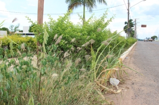 Prefeito de Bonito denuncia a situação caótica encontrada na Prefeitura Municipal