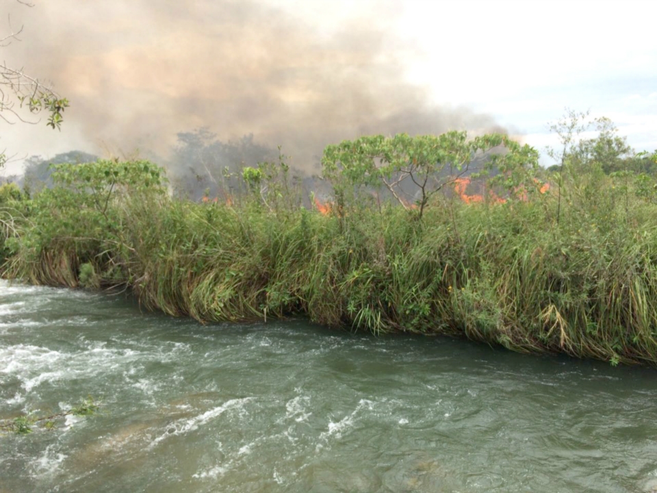 Prefeito sobrevoa área de banhado do rio Formoso atingida por incêndio