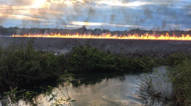 Prefeito sobrevoa área de banhado do rio Formoso atingida por incêndio