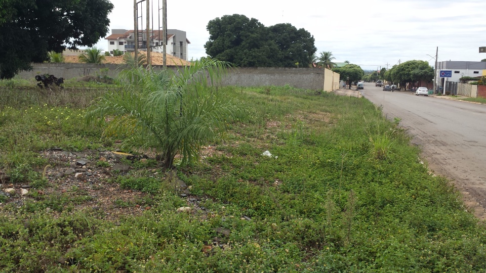 Prefeitura dá prazo de 10 dias para limpeza de terrenos