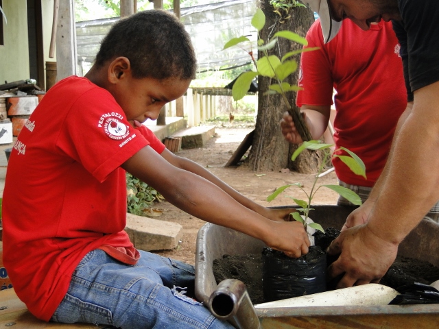 SEMA inicia atividades de educação ambiental no viveiro municipal