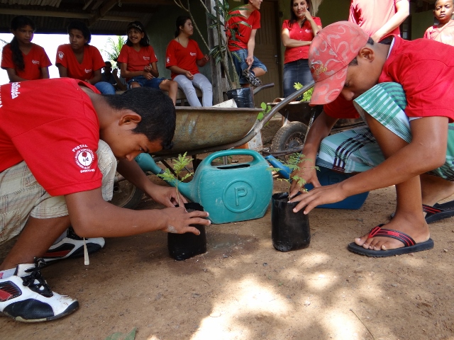 SEMA inicia atividades de educação ambiental no viveiro municipal