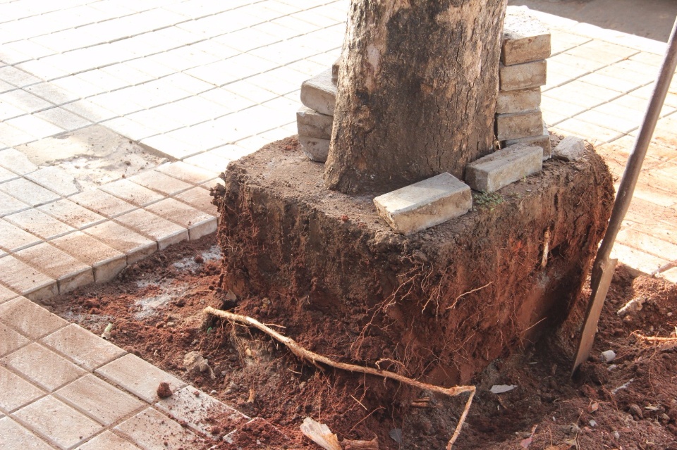 Prefeitura revitaliza Praça da Liberdade e Rua Pilad Rebuá