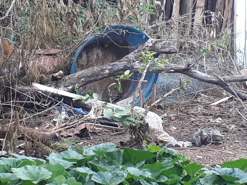 Lixo acumula água nos terrenos baldios, favorecendo a procriação do mosquito. Foto: Divulgação