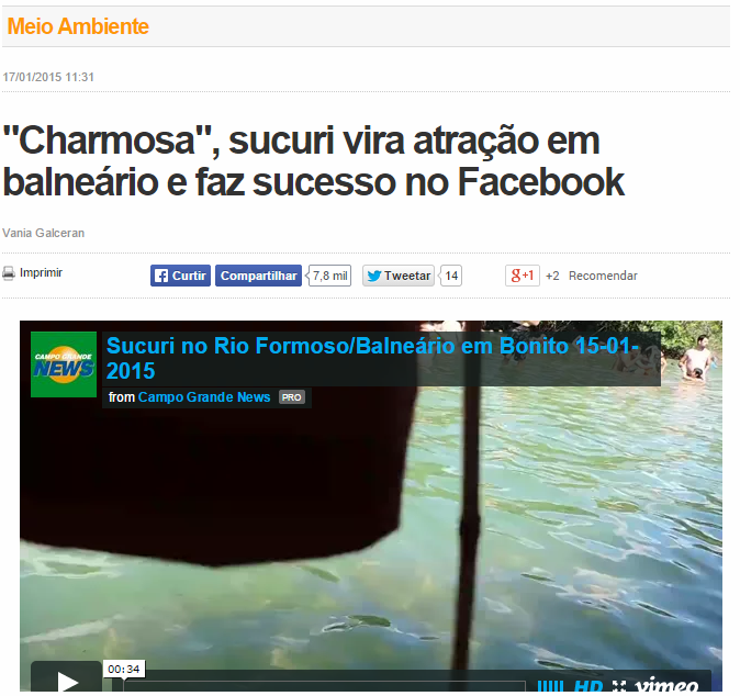 Meio Ambiente - Notícias - Campo Grande News