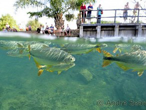 Bonito sediou Fórum do Turismo MS