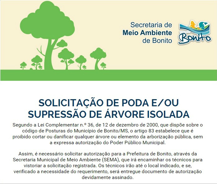Prefeitura lança formulário online para pedidos de poda de árvores