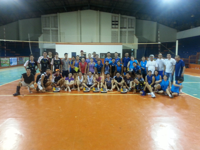 Voleibol