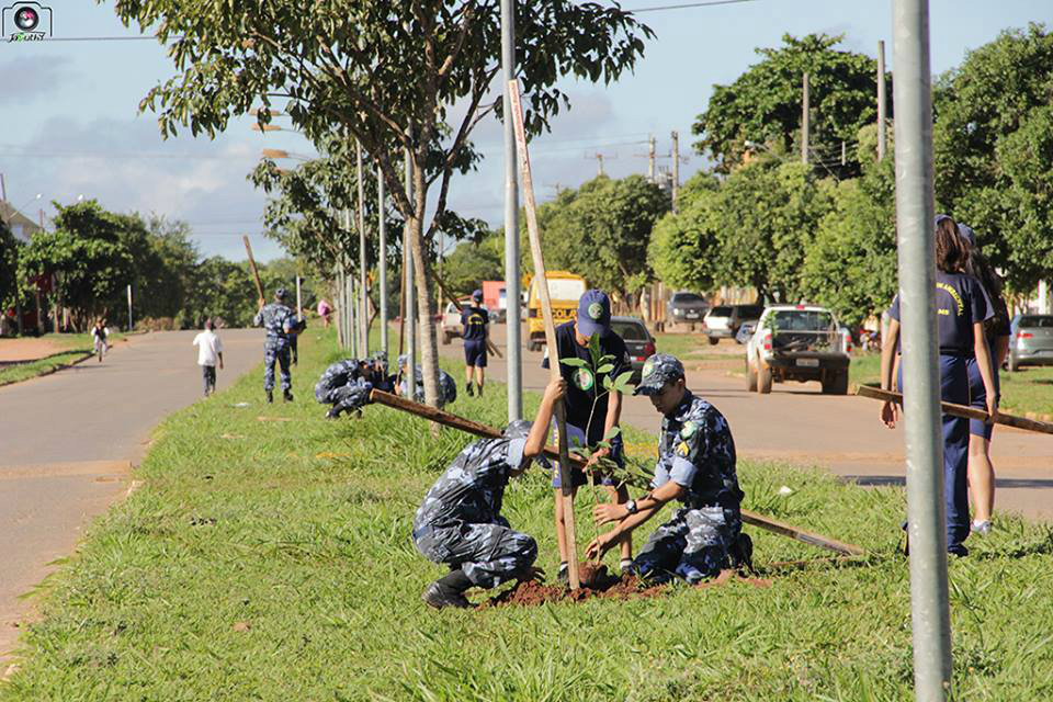 Secretaria efetua o plantio de 45 mudas de Ipê