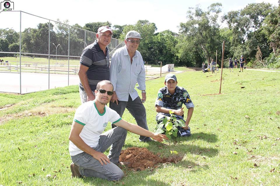 Secretaria efetua o plantio de 45 mudas de Ipê