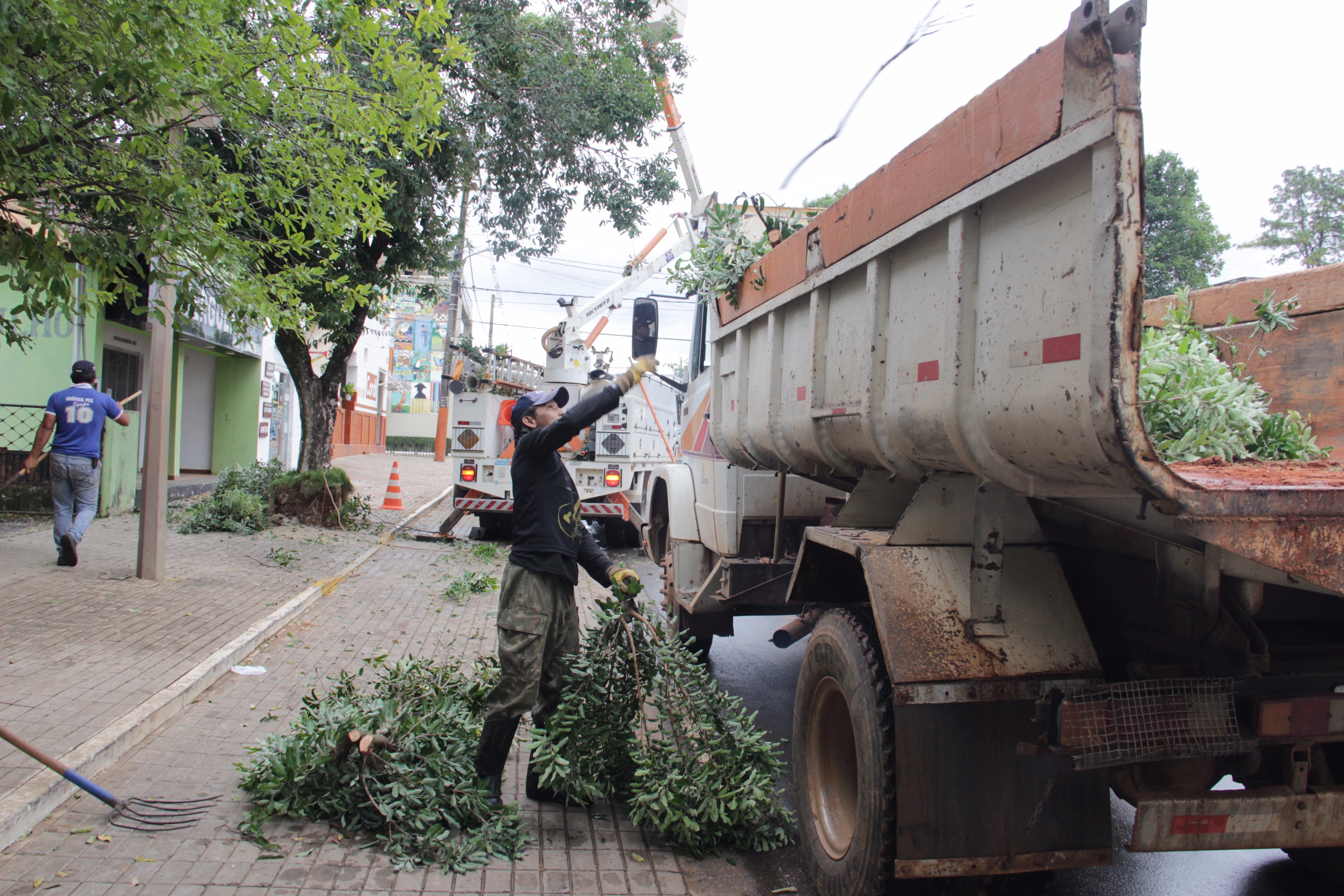 Energisa efetua poda de árvores sob supervisão da prefeitura