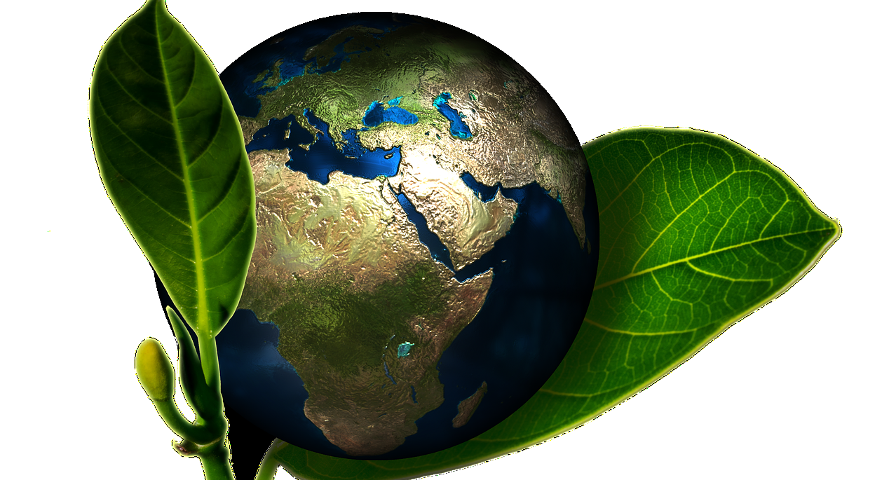 Programação da Semana do Meio Ambiente começa no sábado