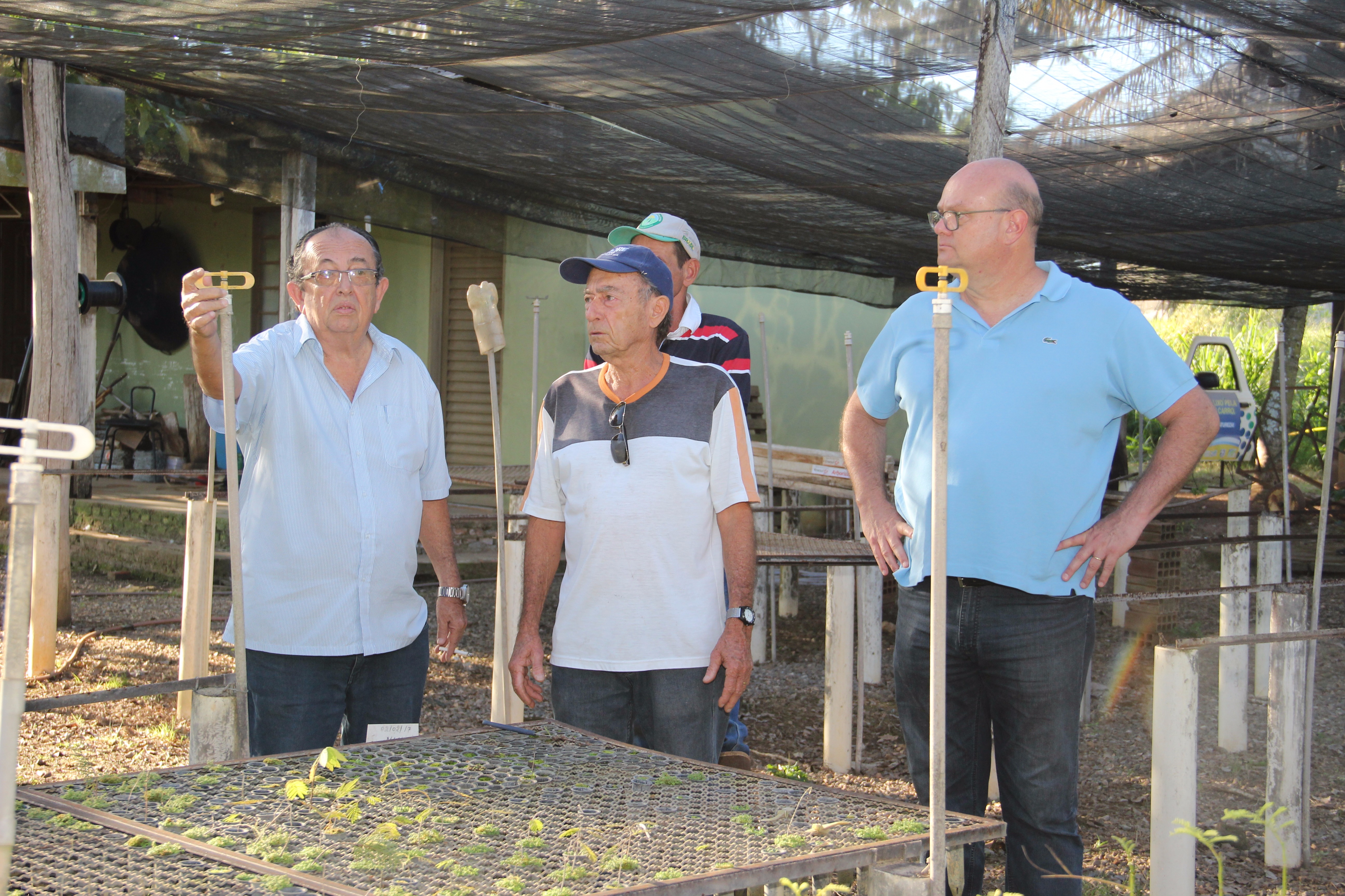 Prefeitura vai revitalizar o Viveiro Municipal
