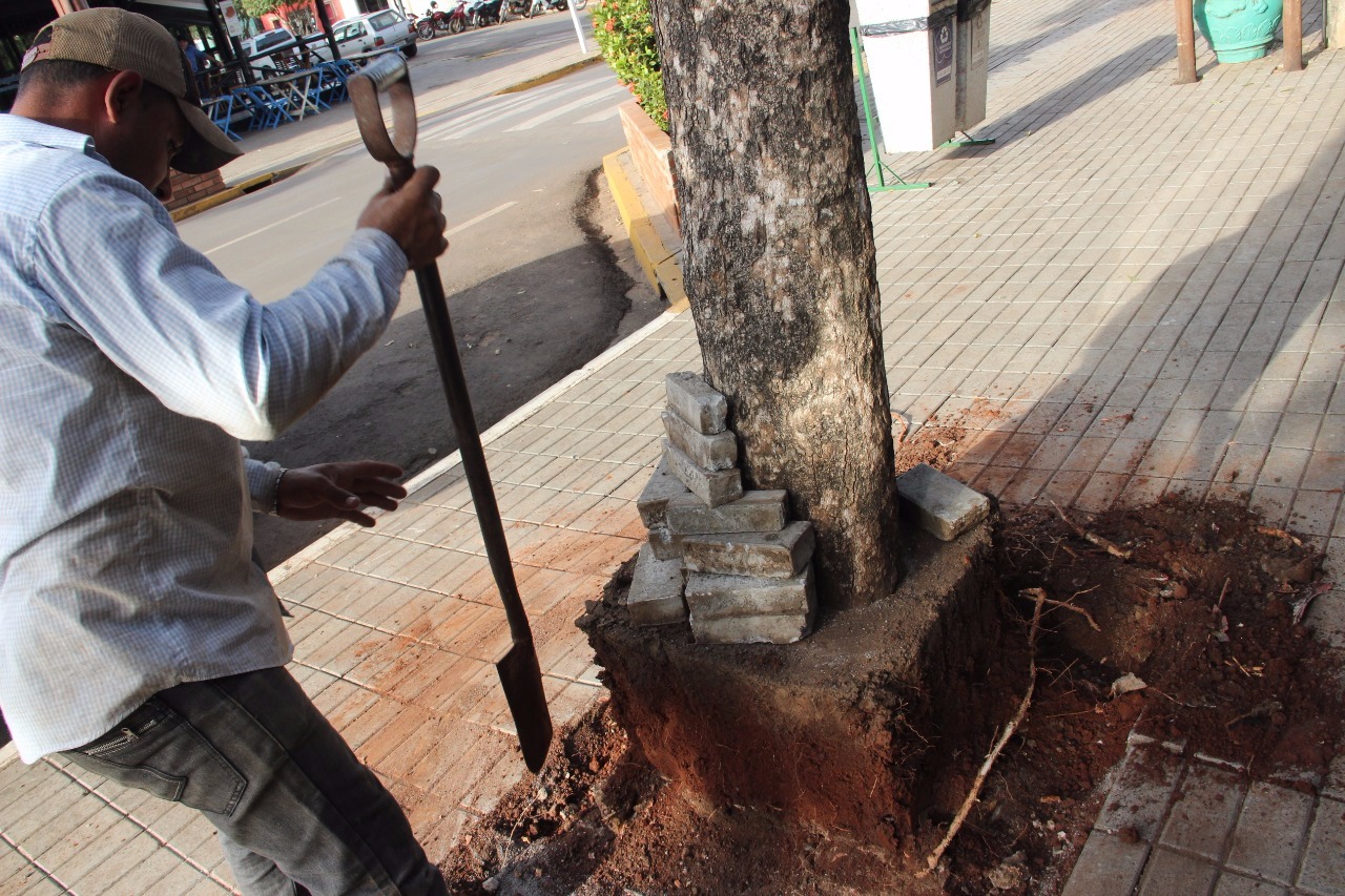 Prefeitura revitaliza Praça da Liberdade e Rua Pilad Rebuá