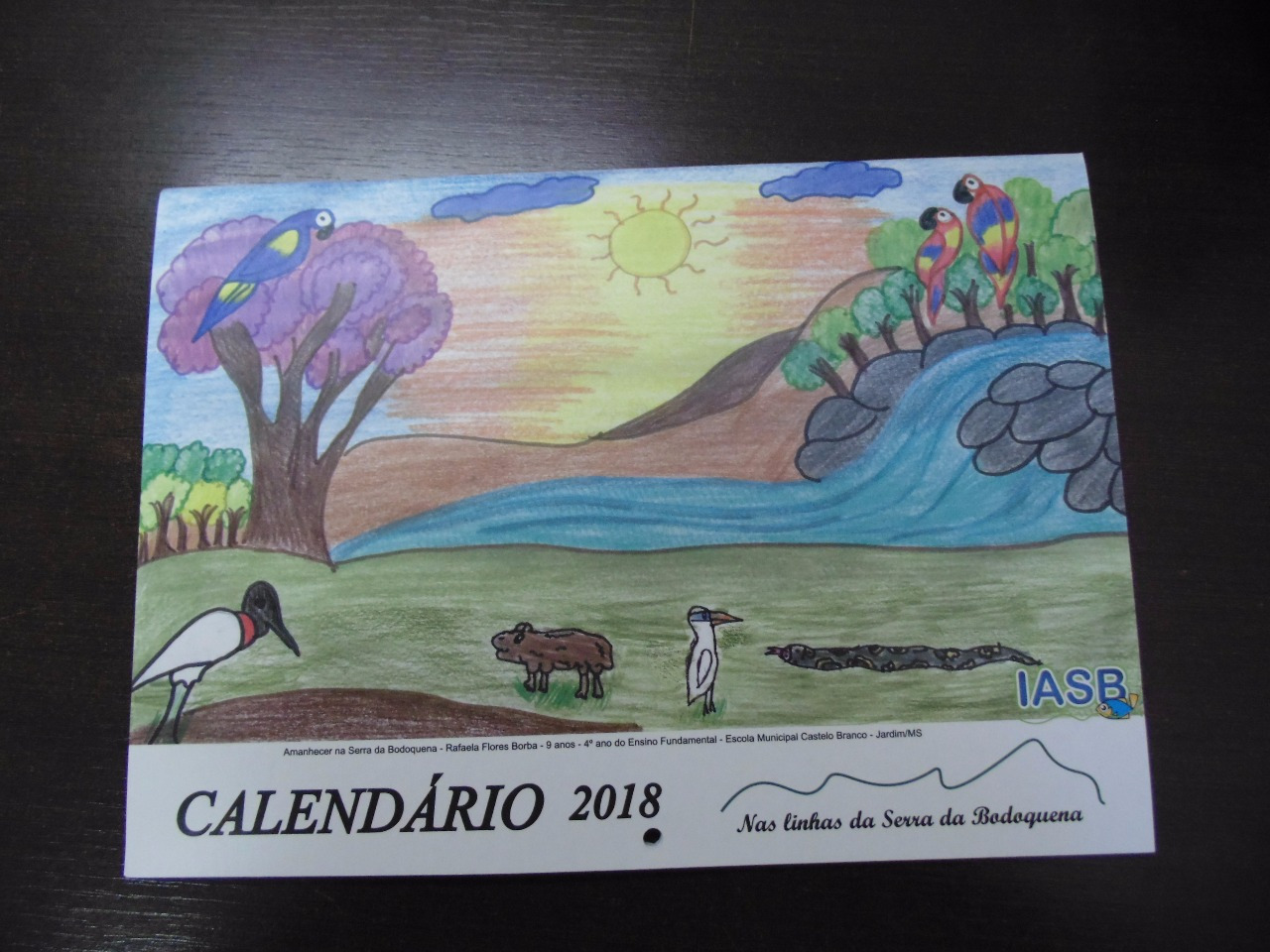 IASB apresenta Calendário Ambiental 2018 ao prefeito
