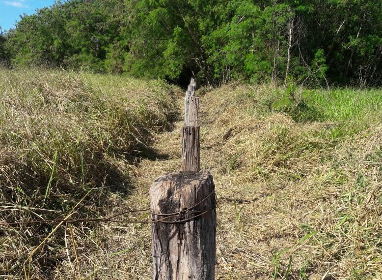 Prefeitura realiza limpeza e reparos na área do CCZ