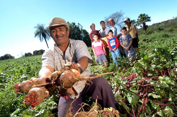 Censo Agropecuário do IBGE começa em outubro